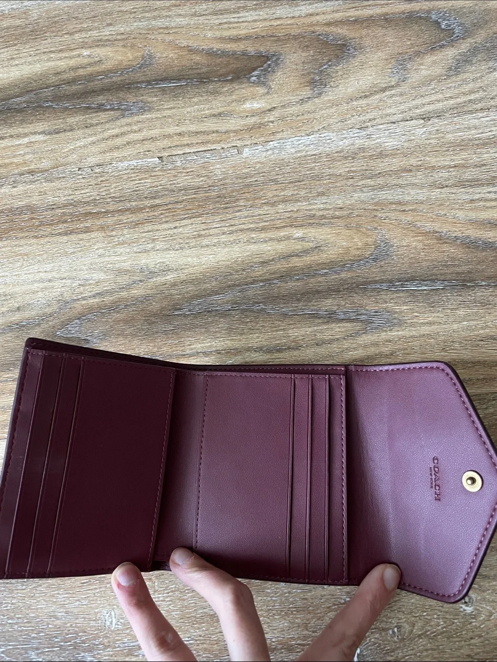 Coach Small Wyn Wallet in Watermelon / Brass